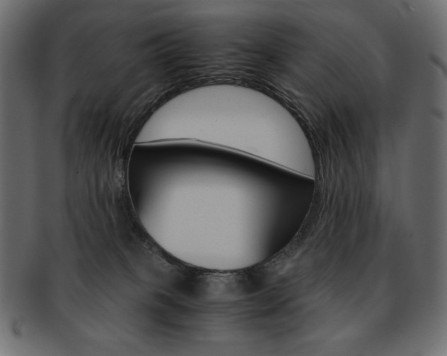 X0000093150085200709261025