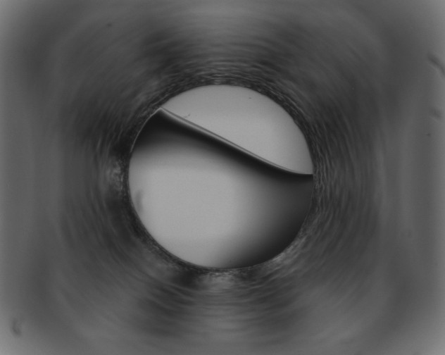 X0000093150086200709261025