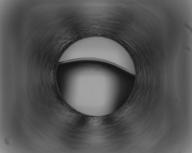 X0000093150088200709261025