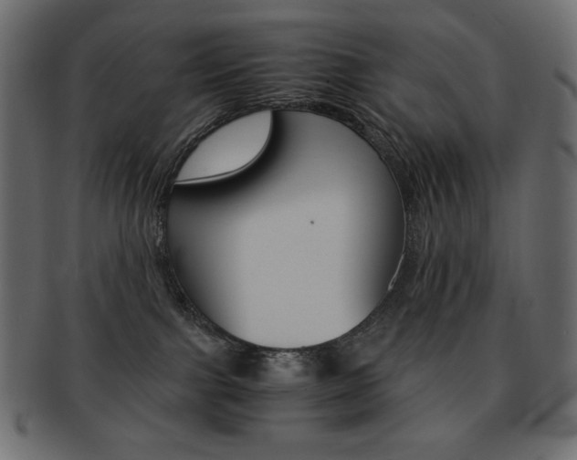 X0000093150091200709261025