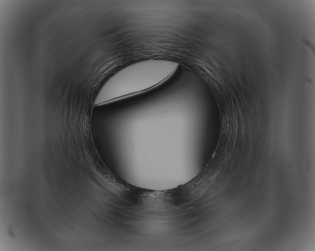 X0000093150092200709261025