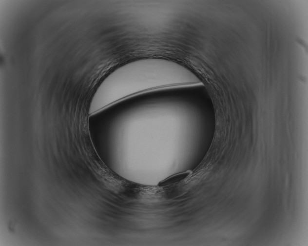X0000093150096200709261025