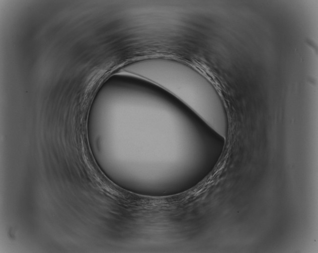 X0000093150097200709261024