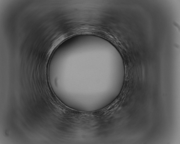 X0000093150099200709261024