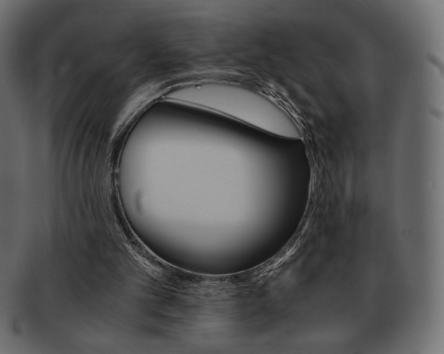 X0000093150101200709261024