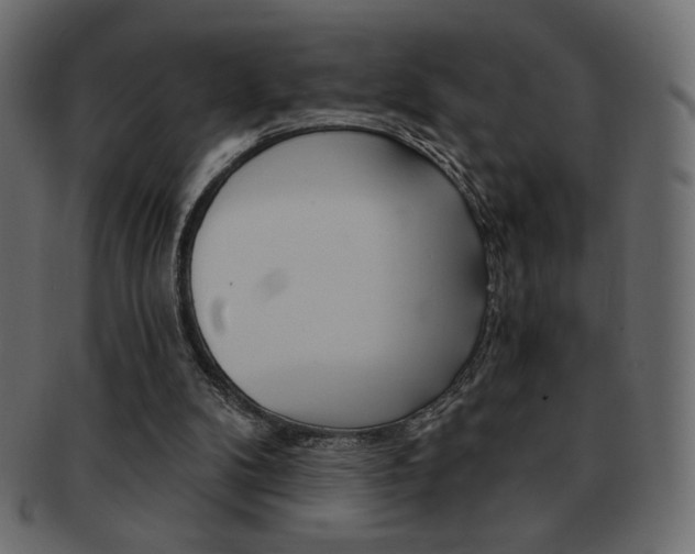 X0000093150104200709261024