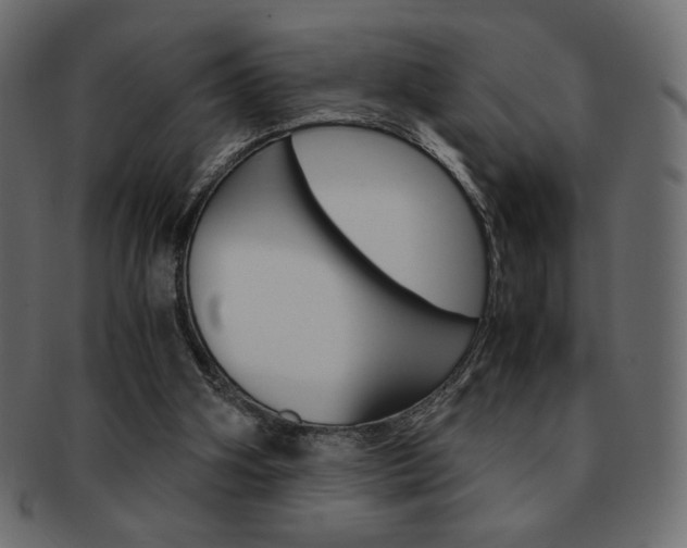 X0000093150106200709261024