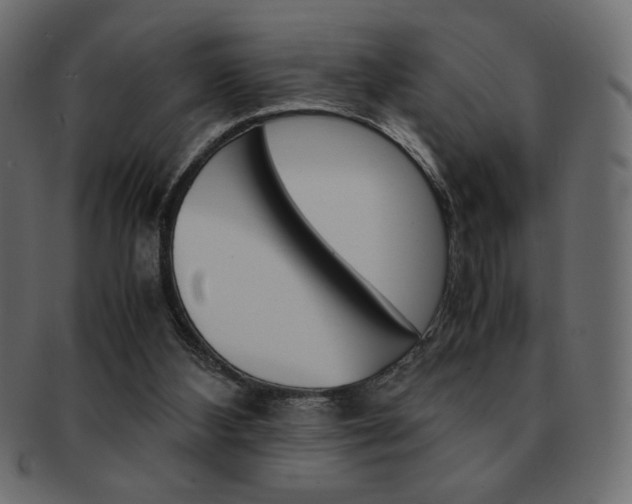 X0000093150108200709261024