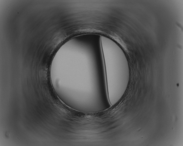 X0000093150111200709261024