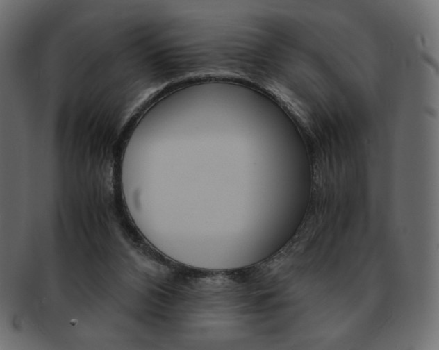 X0000093150112200709261024