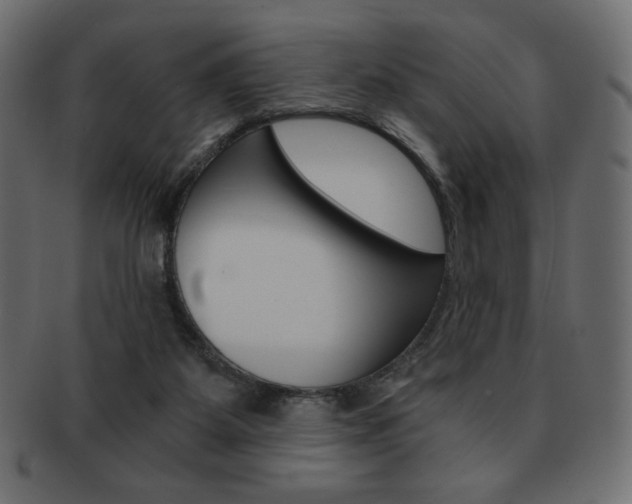 X0000093150115200709261024