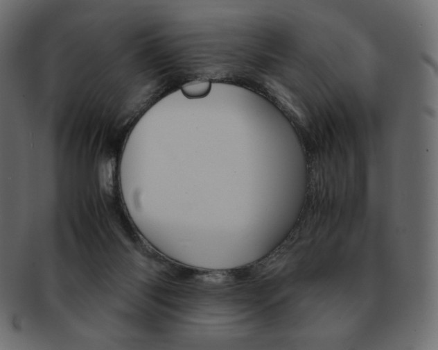 X0000093150118200709261024