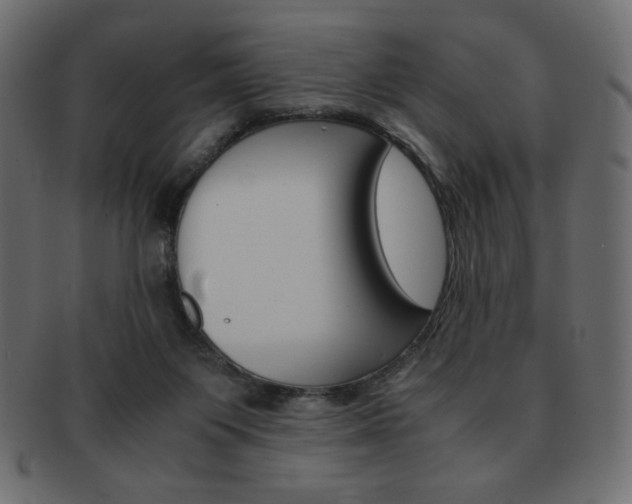 X0000093150119200709261024