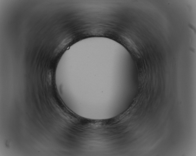 X0000093150120200709261024