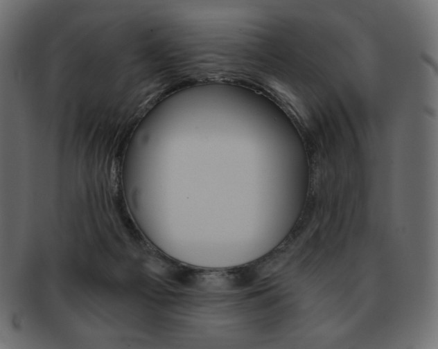 X0000093150121200709261024