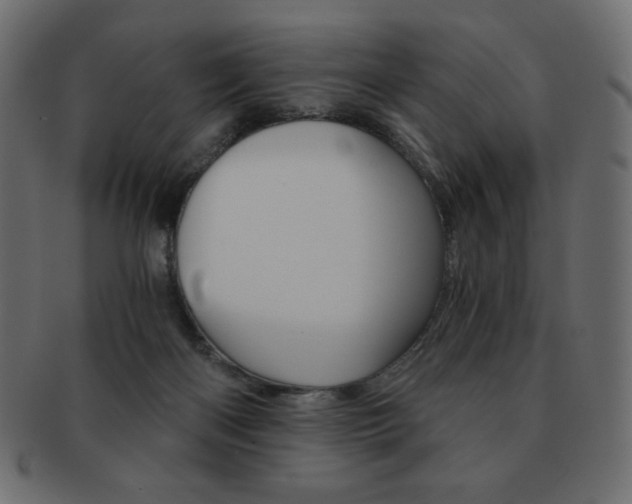 X0000093150122200709261024