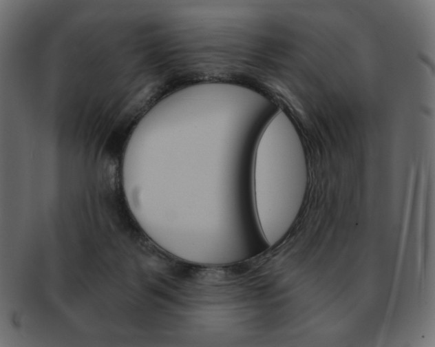X0000093150123200709261024