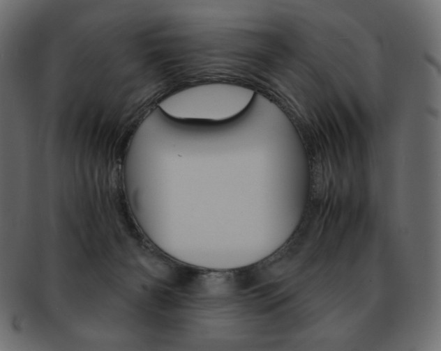 X0000093150126200709261024