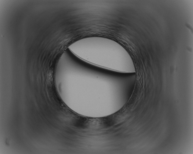 X0000093150127200709261024