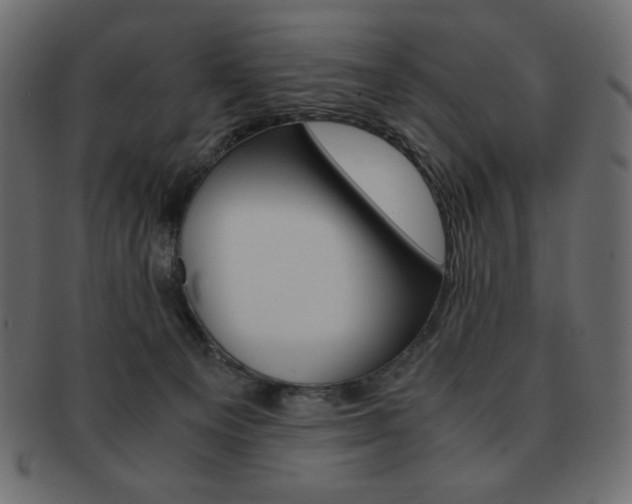 X0000093150129200709261024