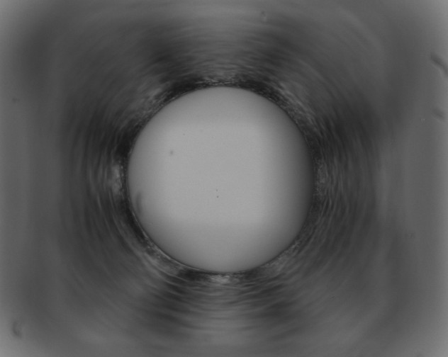 X0000093150130200709261024
