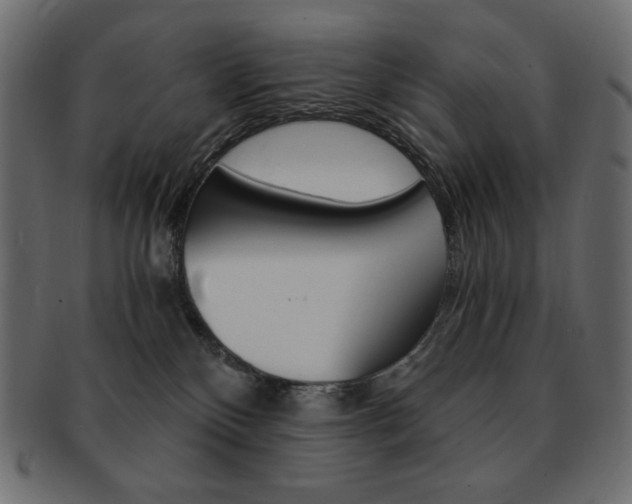X0000093150136200709261024