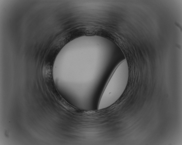 X0000093150137200709261024