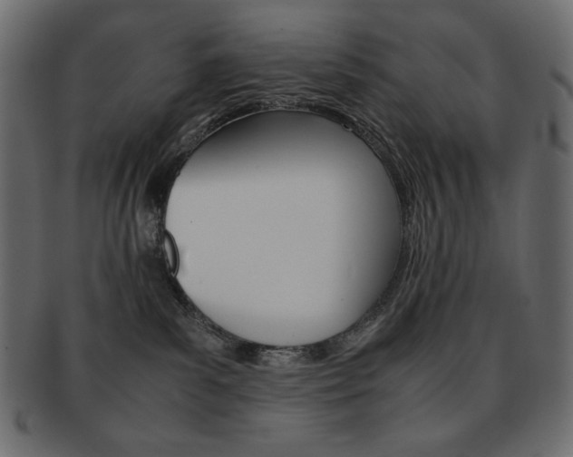 X0000093150139200709261024