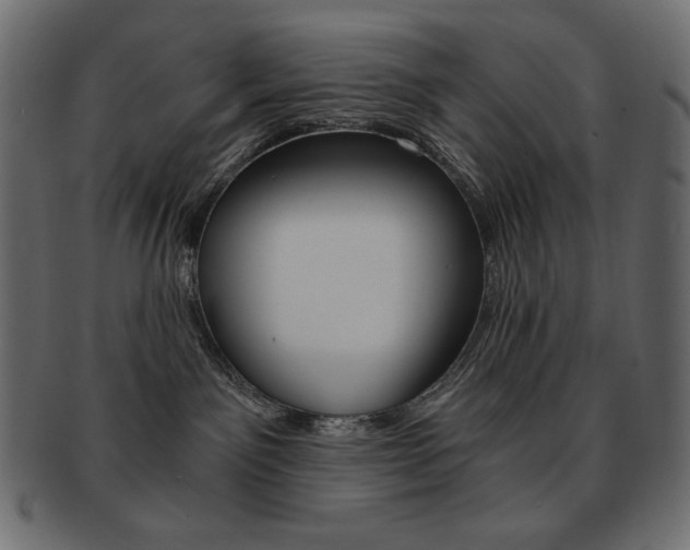X0000093150141200709261024