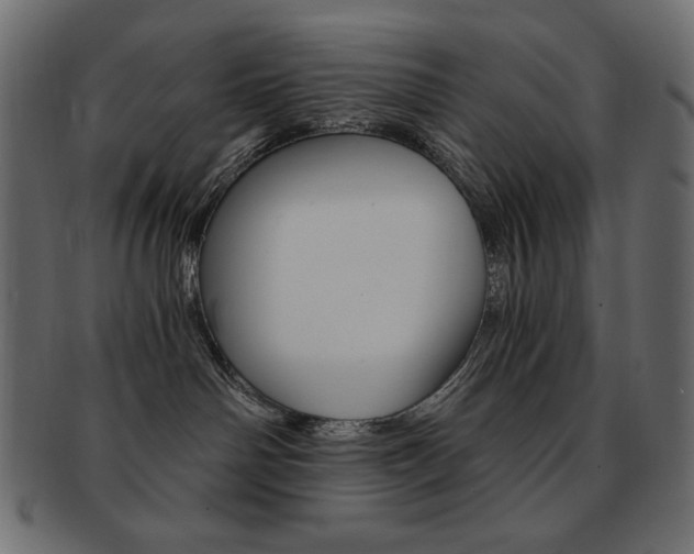X0000093150142200709261024