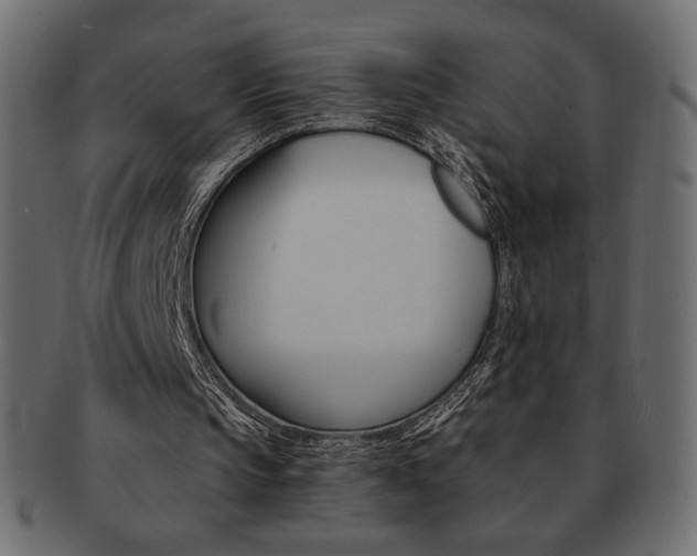X0000093150145200709261023
