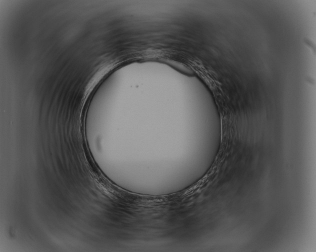 X0000093150147200709261023