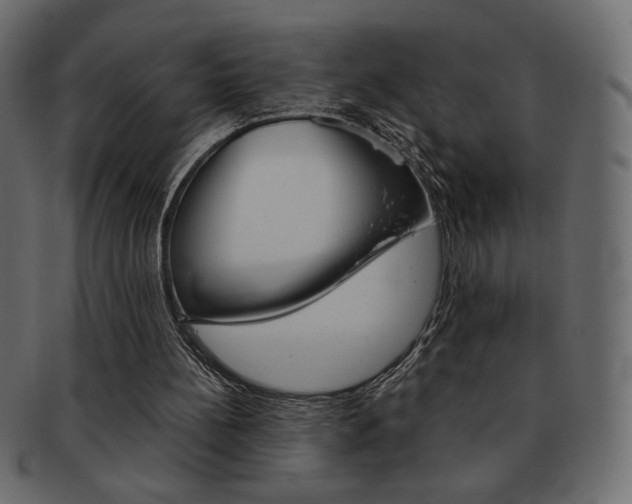 X0000093150148200709261023