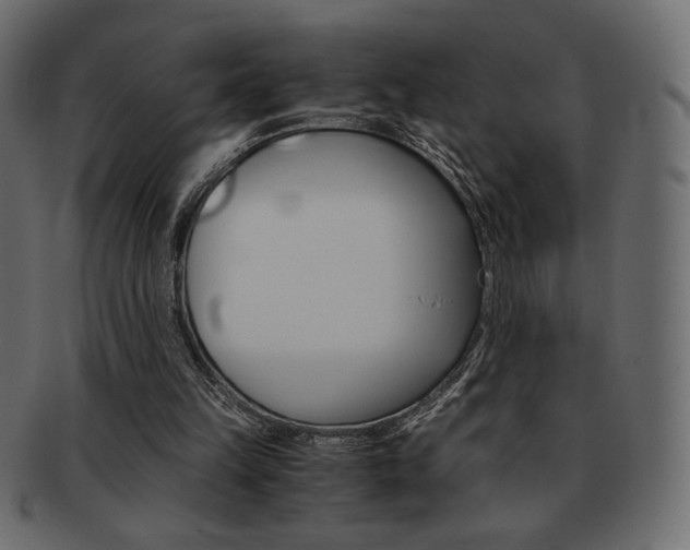 X0000093150149200709261023