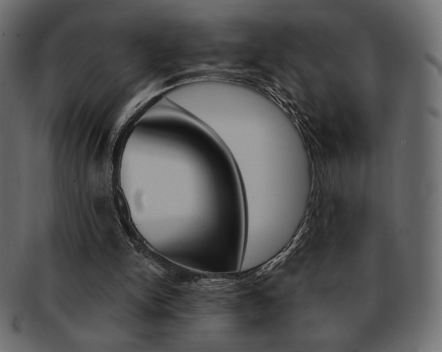 X0000093150150200709261023
