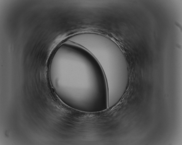 X0000093150152200709261023