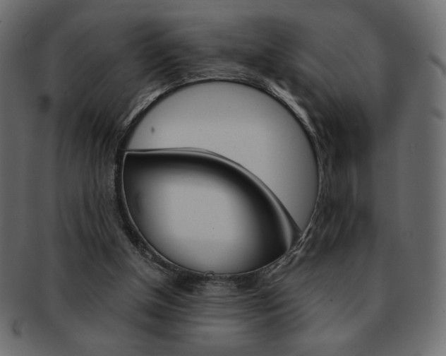 X0000093150154200709261023