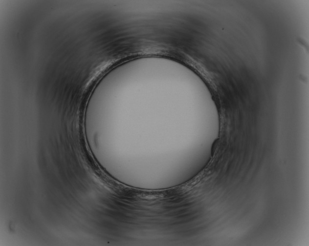 X0000093150155200709261023