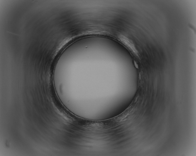 X0000093150156200709261023