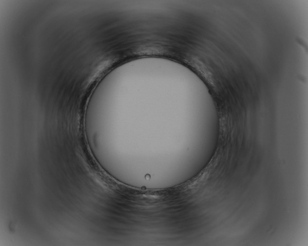 X0000093150159200709261023