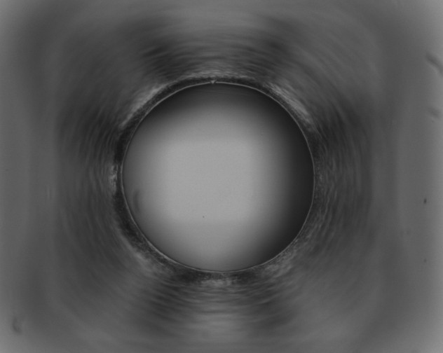 X0000093150160200709261023