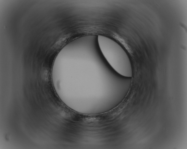 X0000093150161200709261023