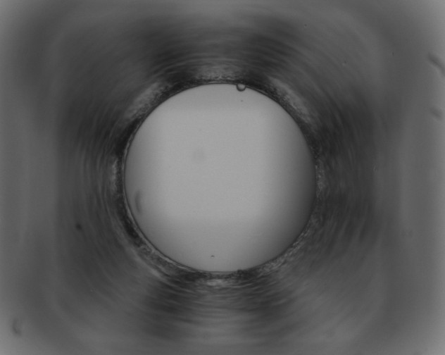 X0000093150163200709261023