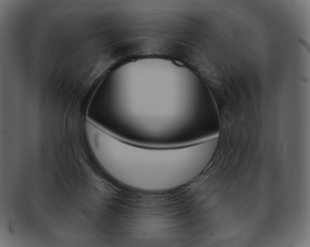 X0000093150164200709261023