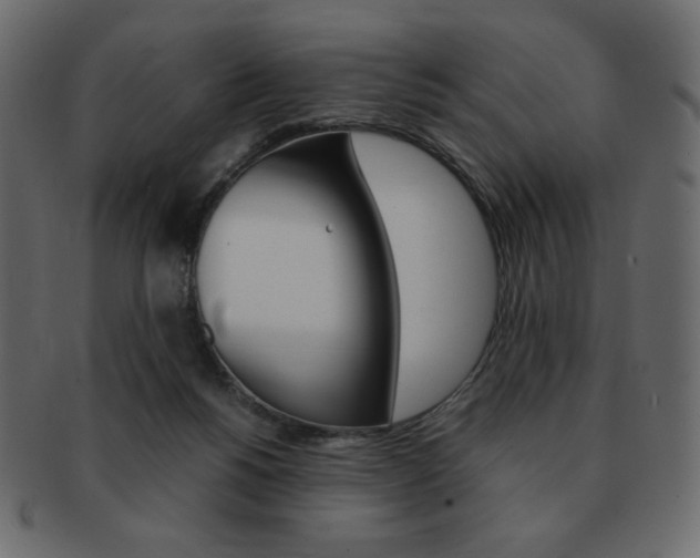 X0000093150168200709261023