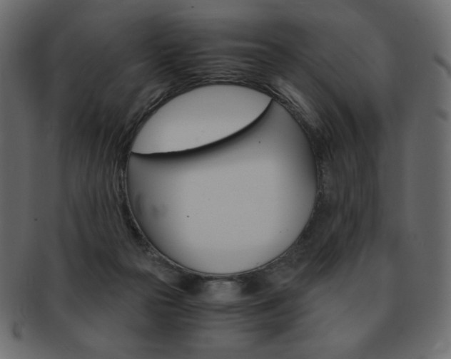 X0000093150169200709261023