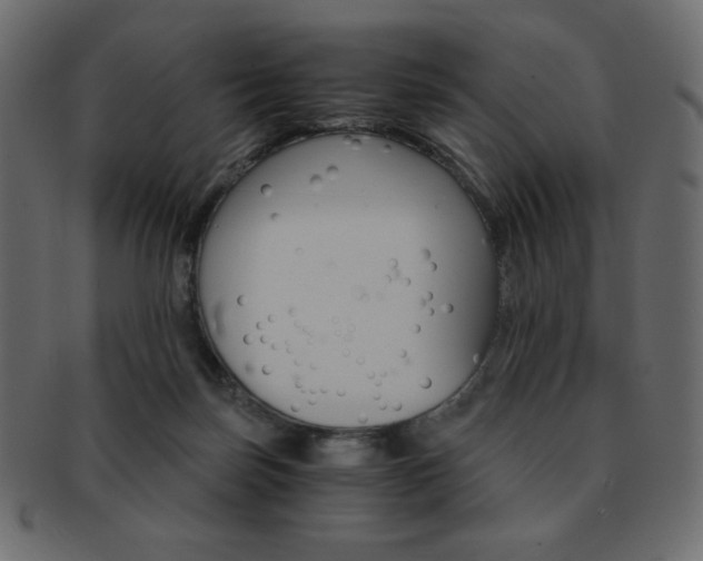 X0000093150171200709261023