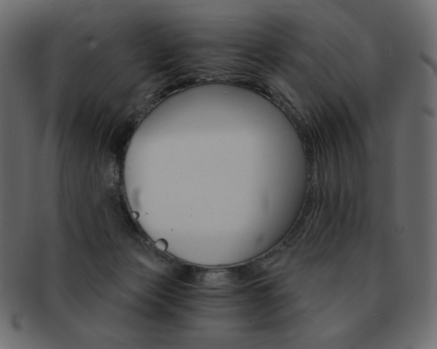 X0000093150173200709261023