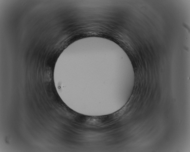 X0000093150174200709261023