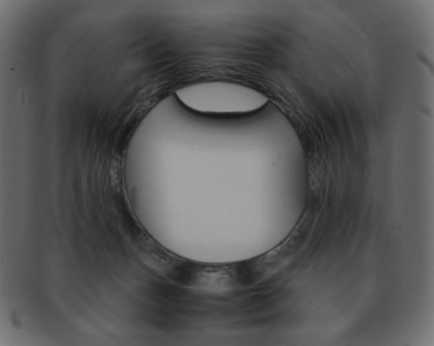 X0000093150175200709261023